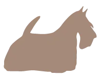 stadin murre logo